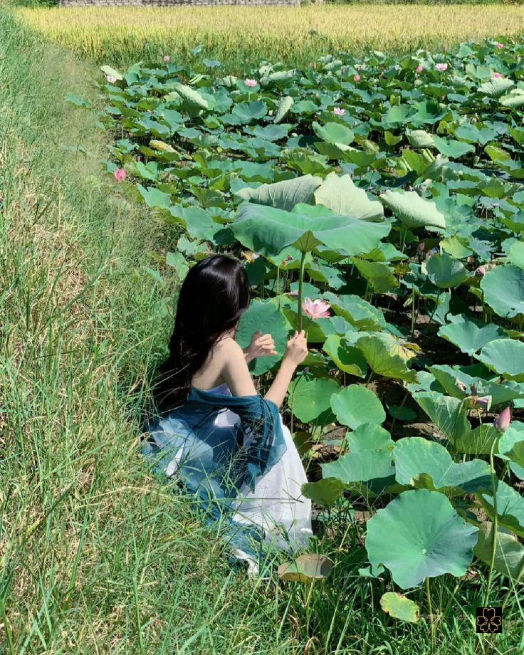 Ảnh gái xinh đeo kính mang nét đẹp tuổi teen đầy thu hút bên hồ sen