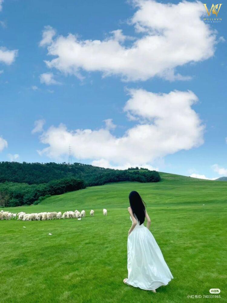 Hình ảnh cô gái tóc dài quay lưng đẹp nhất